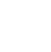 NP Mühendislik logosu